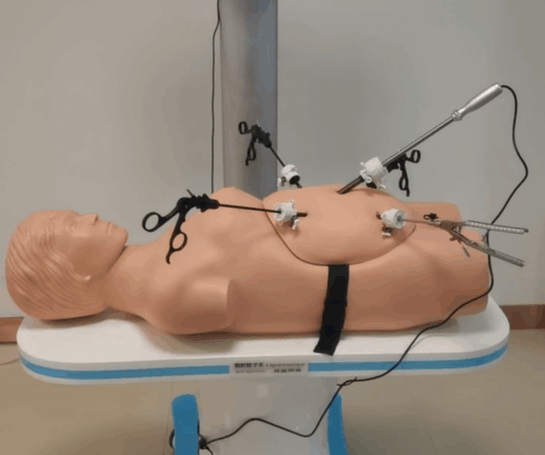 腹腔镜手术技能训练人体模型